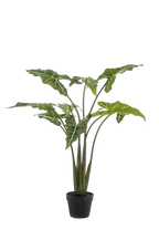 Kunstplant Alocasia Frydek 120 cm