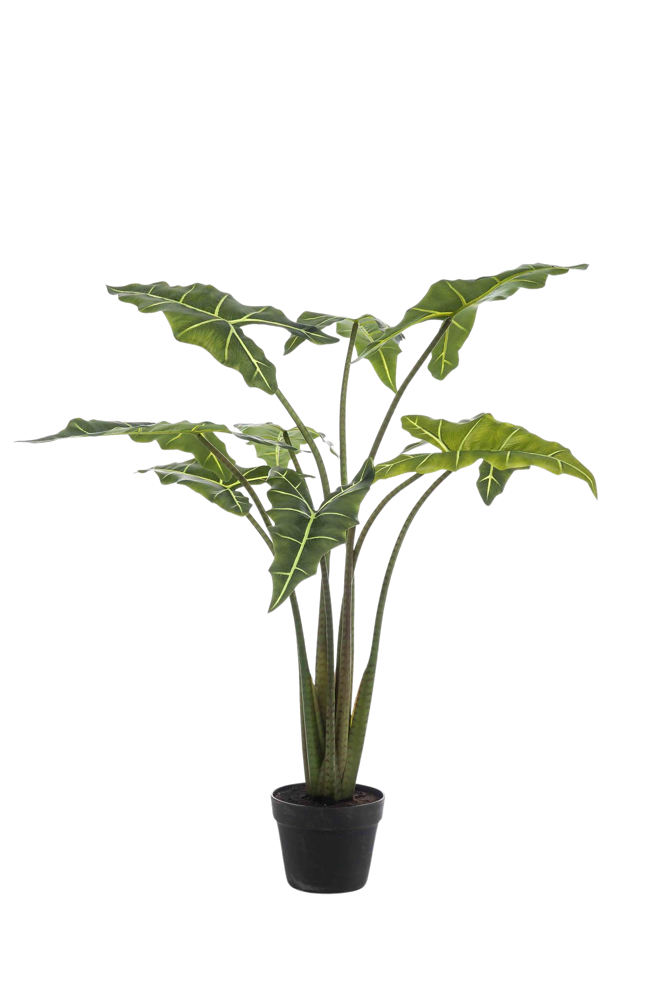 Kunstplant Alocasia Frydek 120 cm