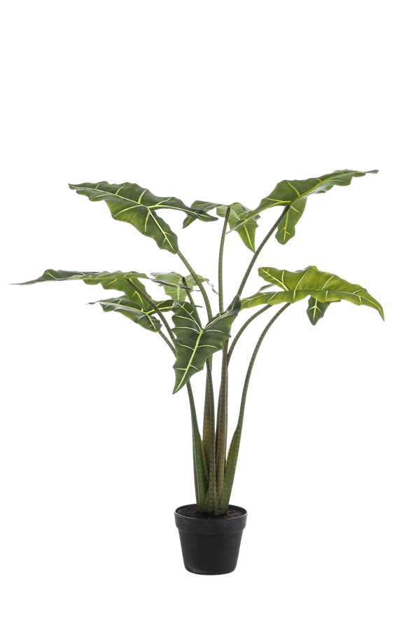 Kunstplant Alocasia Frydek 120 cm