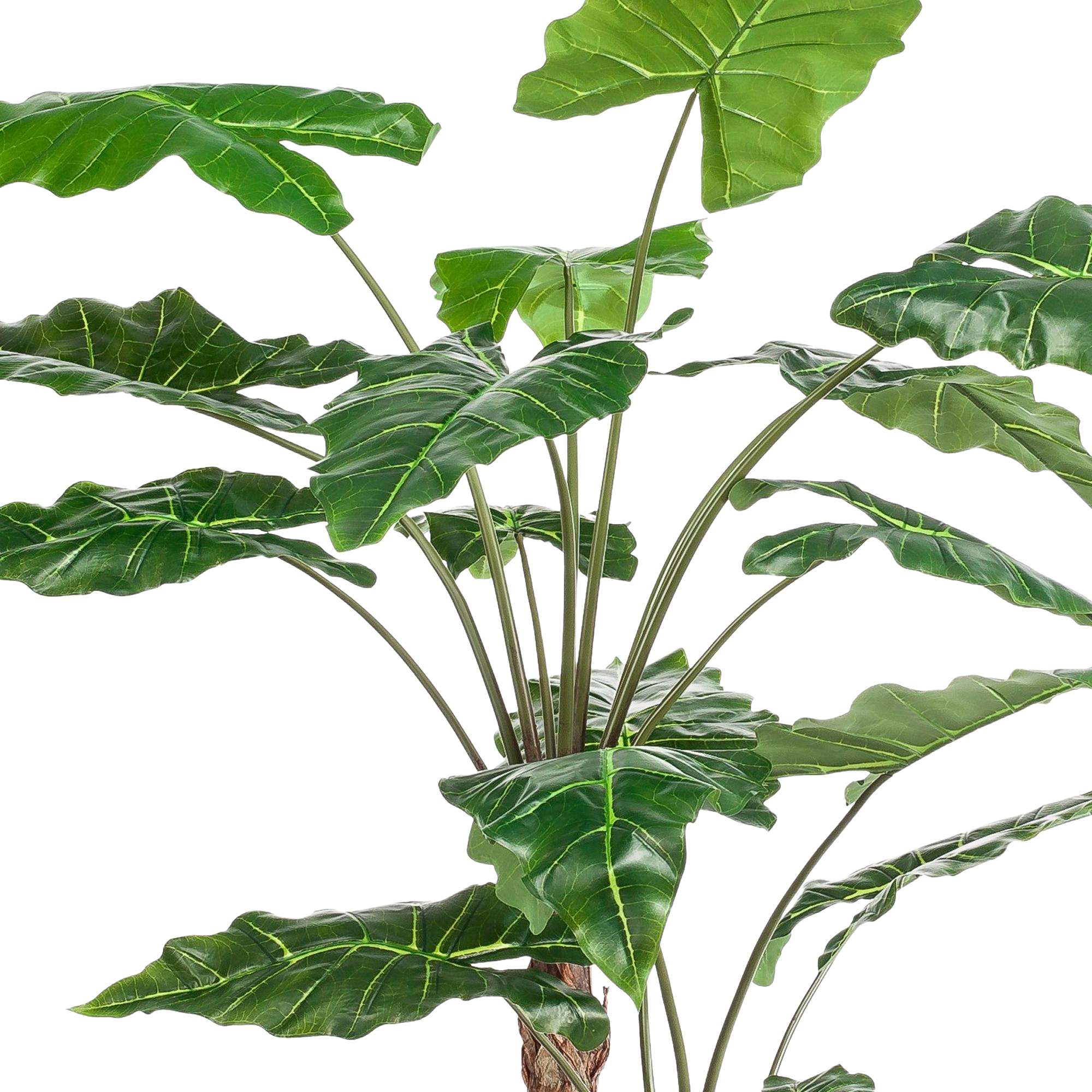 Kunstplant Alocasia 180 cm