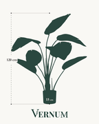 Kunstplant Strelitzia Nicolai 120cm