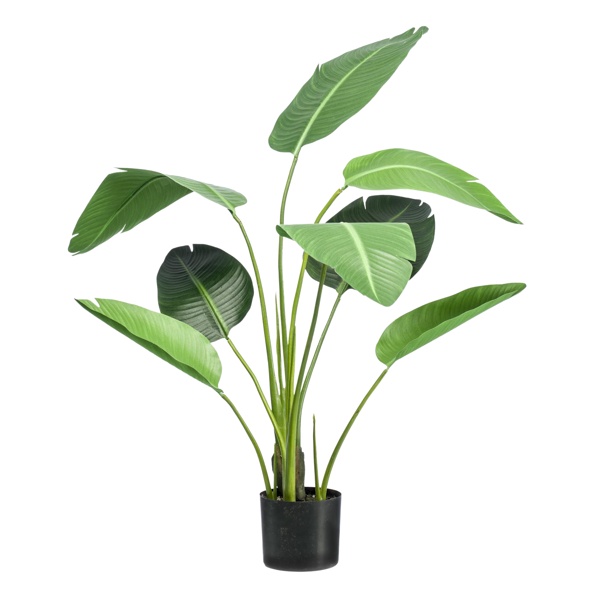 Kunstplant Strelitzia Nicolai 120cm