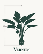 Kunstplant Philodendron 120 cm