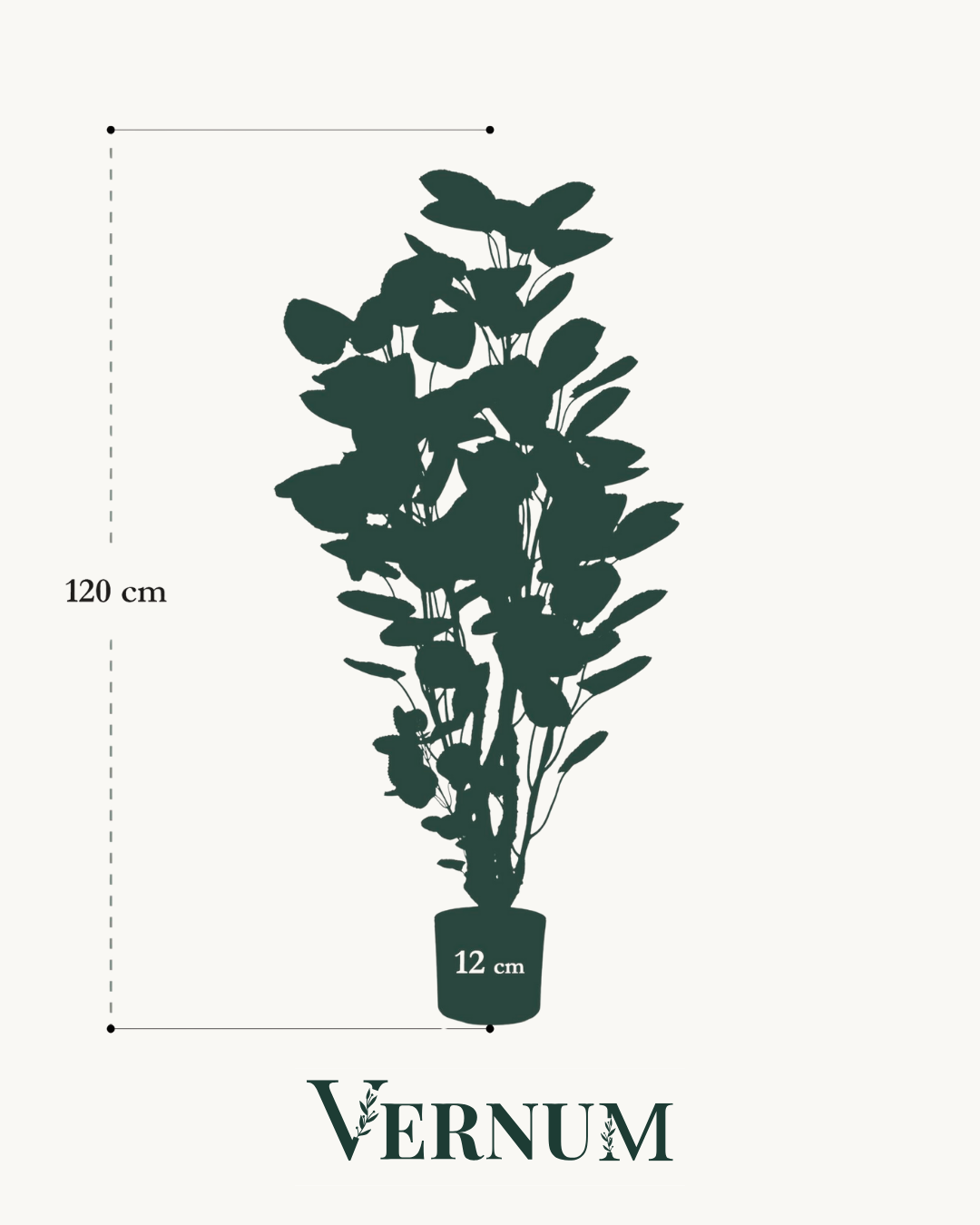 Kunstplant Polyscias Aralia 120 cm