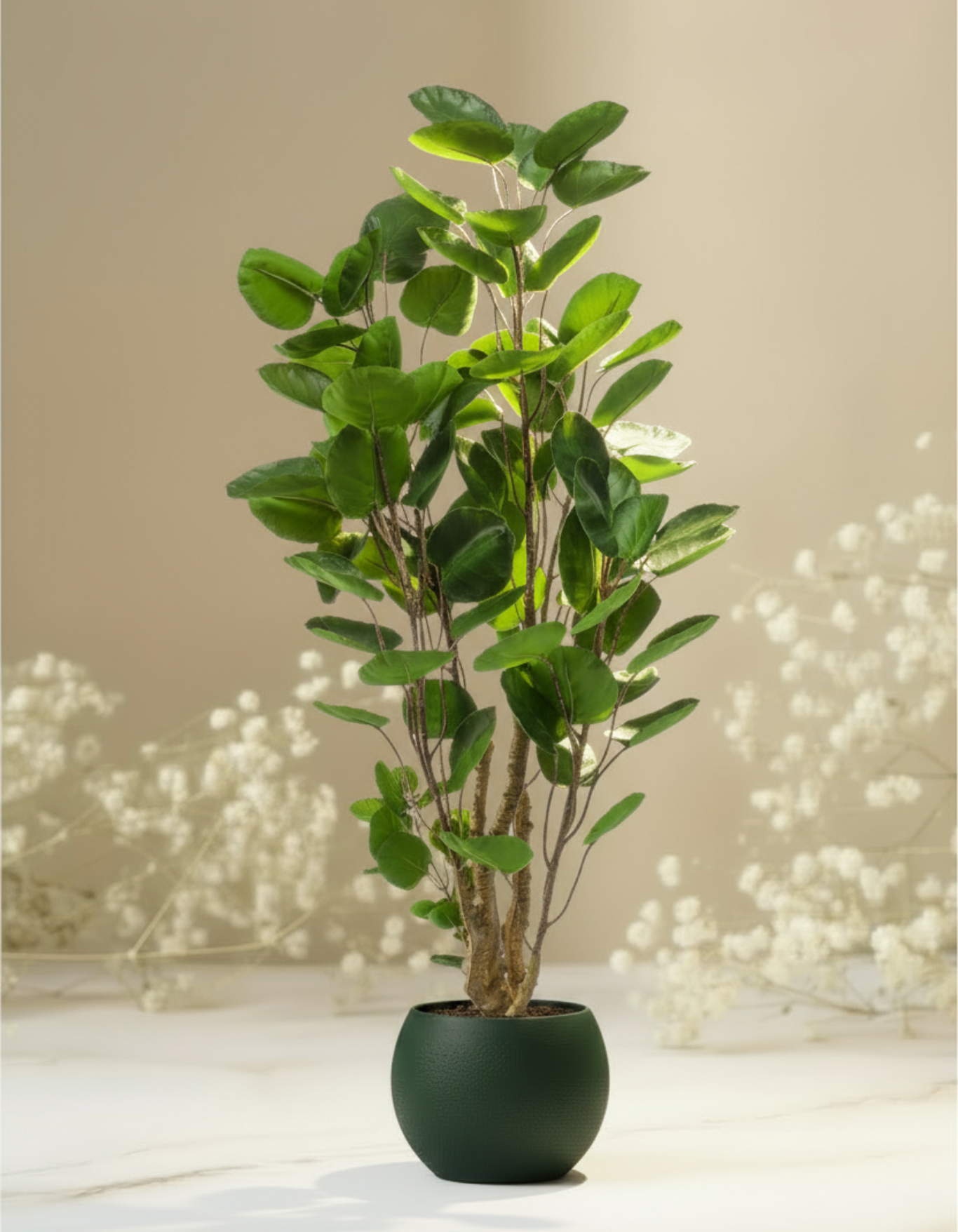 Kunstplant Polyscias Aralia 120 cm