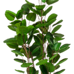 Kunstplant Polyscias Aralia 120 cm