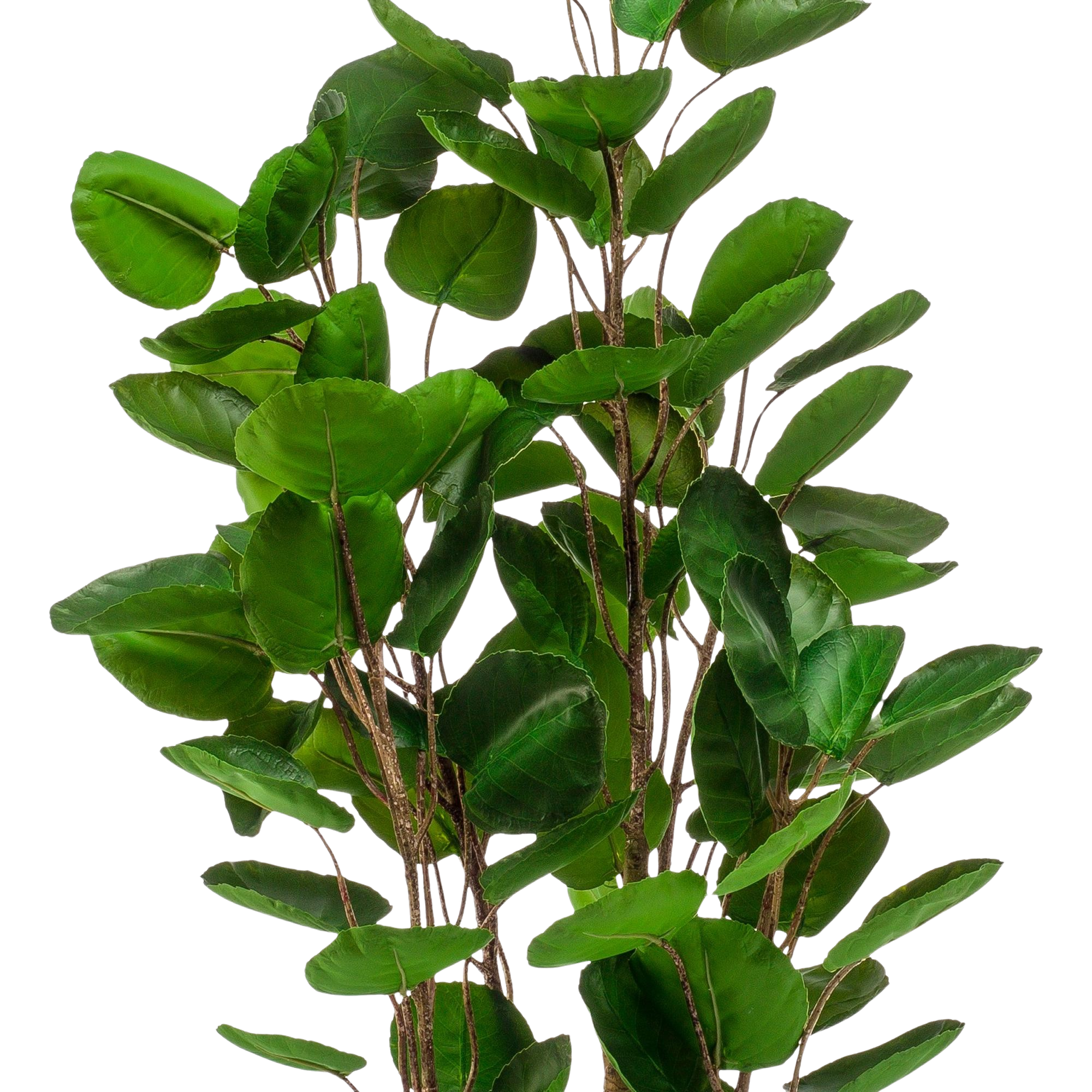 Kunstplant Polyscias Aralia 120 cm