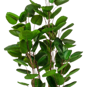 Kunstplant Polyscias Aralia 120 cm