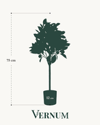 Kunstplant Citrus Sinensis 75 cm
