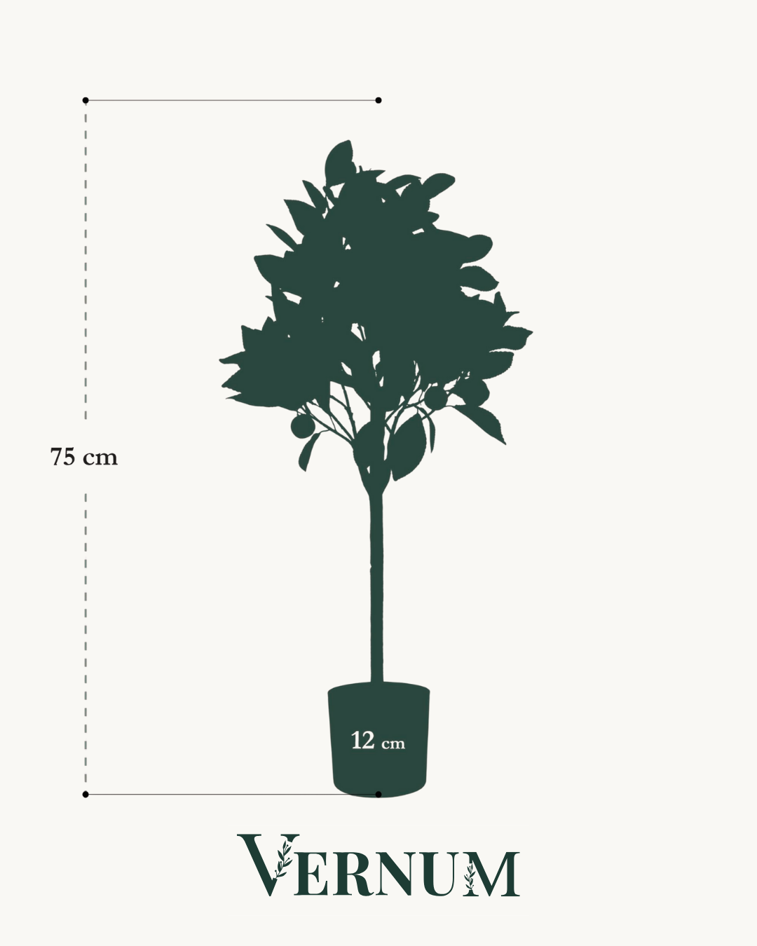 Kunstplant Citrus Sinensis 75 cm