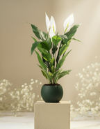 Kunstplant Spathiphyllum Lepelplant 90cm