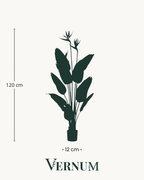 Kunstplant Strelitzia met bloemen 120cm