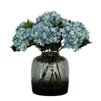 Acht blauwe hortensia's