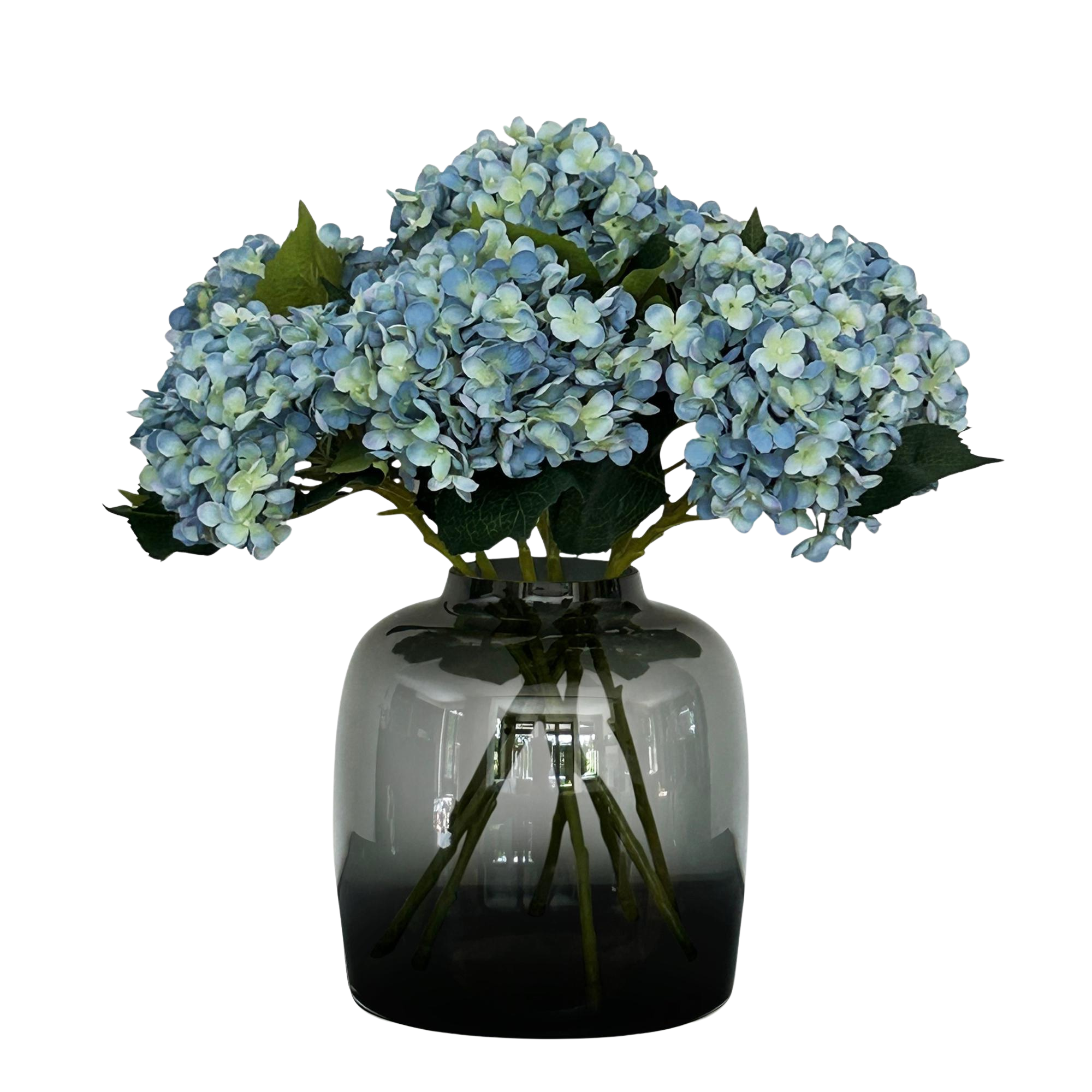 Acht blauwe hortensia's