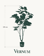Kunstplant Ficus Umbellate 125cm