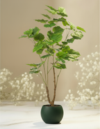 Kunstplant Ficus Umbellate 125cm