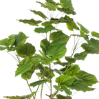 Kunstplant Ficus Umbellate 125cm