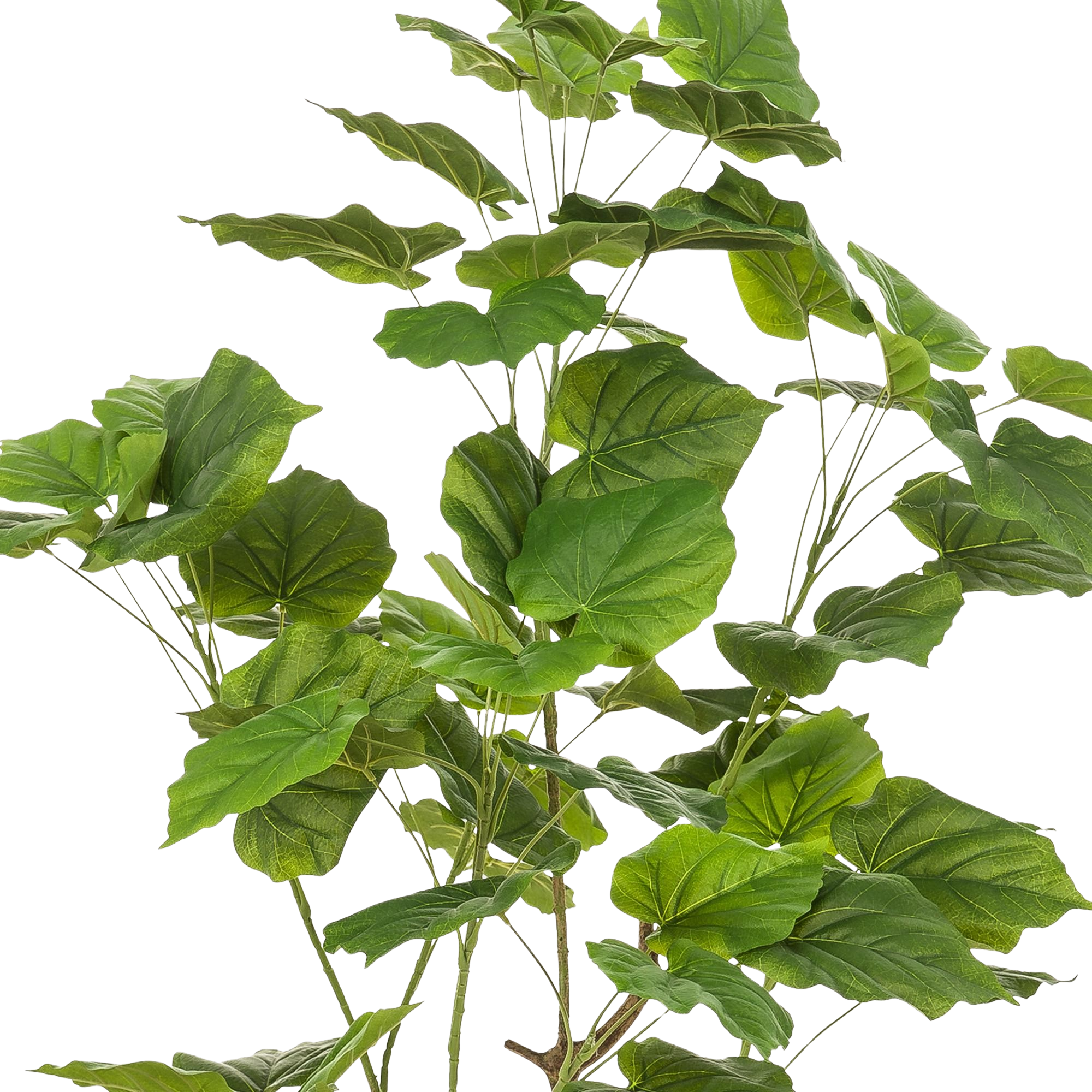 Kunstplant Ficus Umbellate 125cm