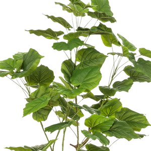 Kunstplant Ficus Umbellate 125cm