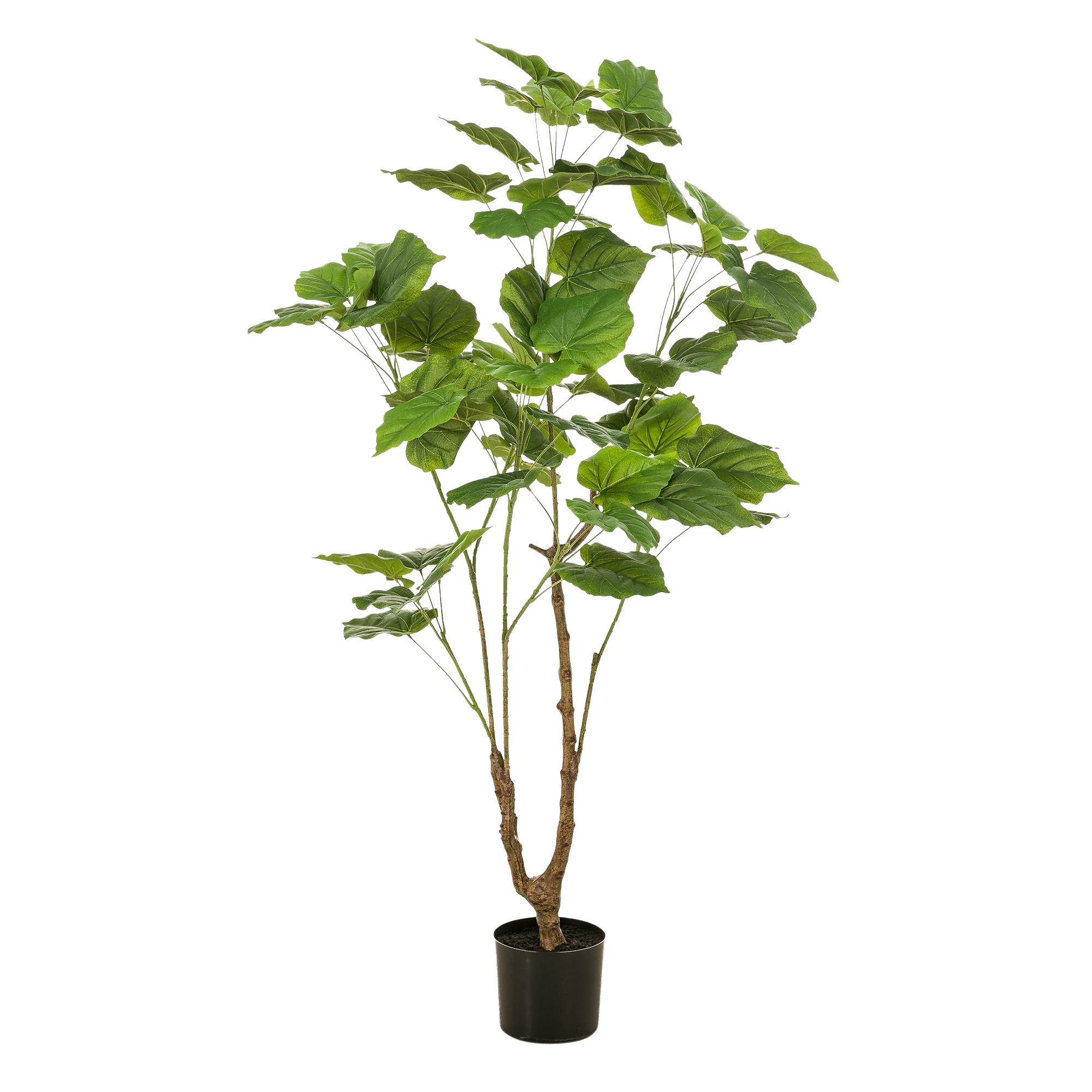 Kunstplant Ficus Umbellate 125cm