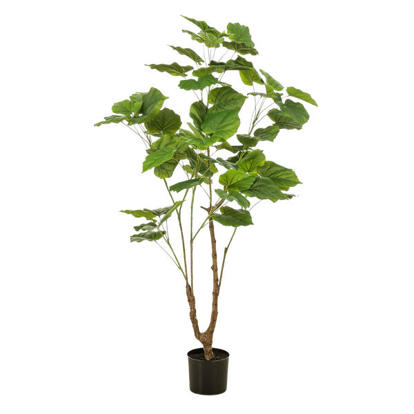 Kunstplant Ficus Umbellate 125cm