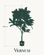 Kunstplant Croton Codiaeum 120 cm