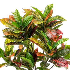 Kunstplant Croton Codiaeum 120 cm