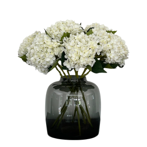 Acht crèmekleurige hortensia's