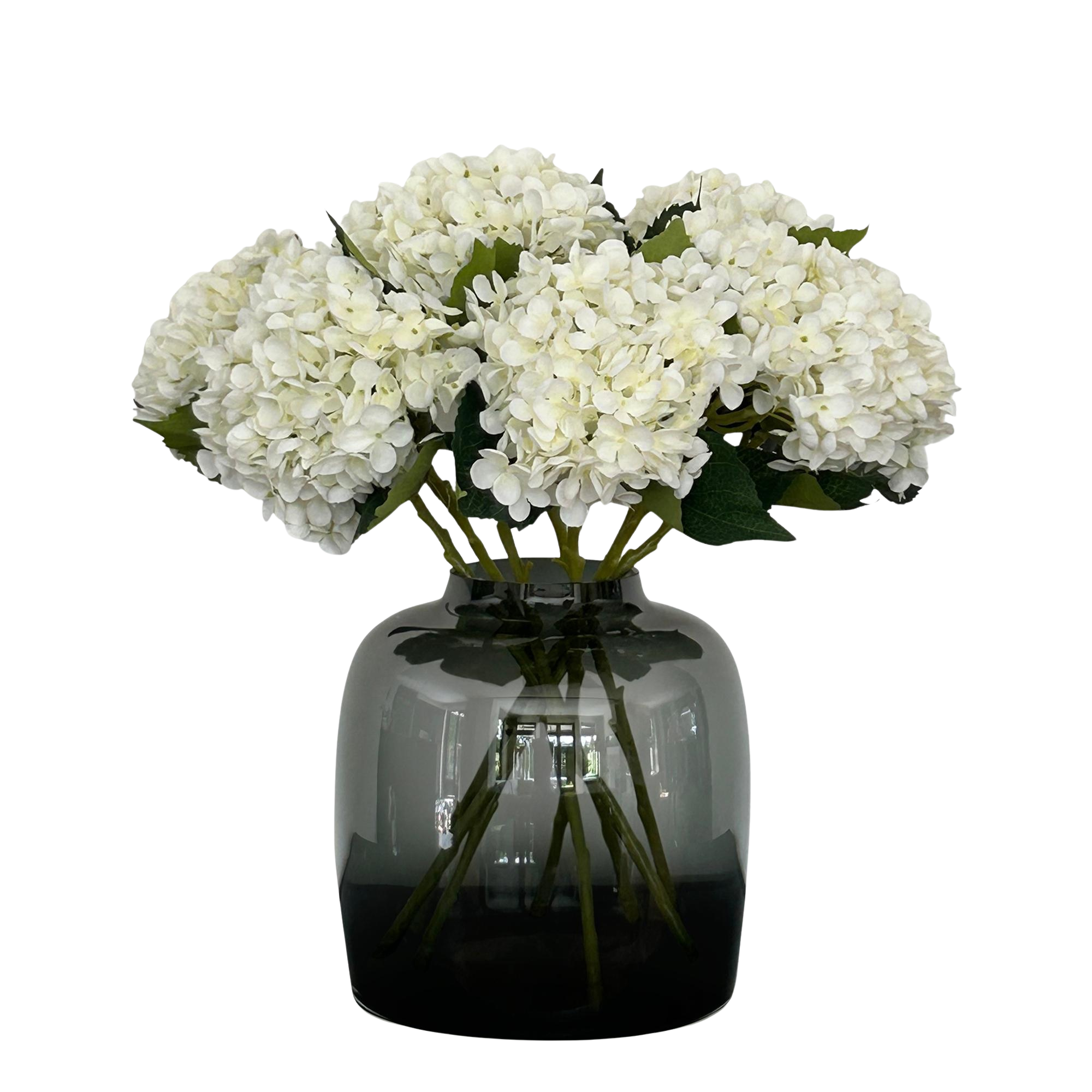 Acht crèmekleurige hortensia's