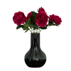 Vijf donkerroze pioenen