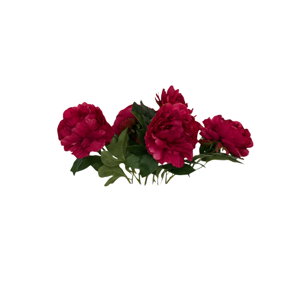 Vijf donkerroze pioenen