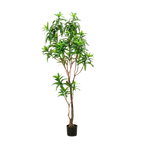 Kunstplant Drakenboom 190 cm