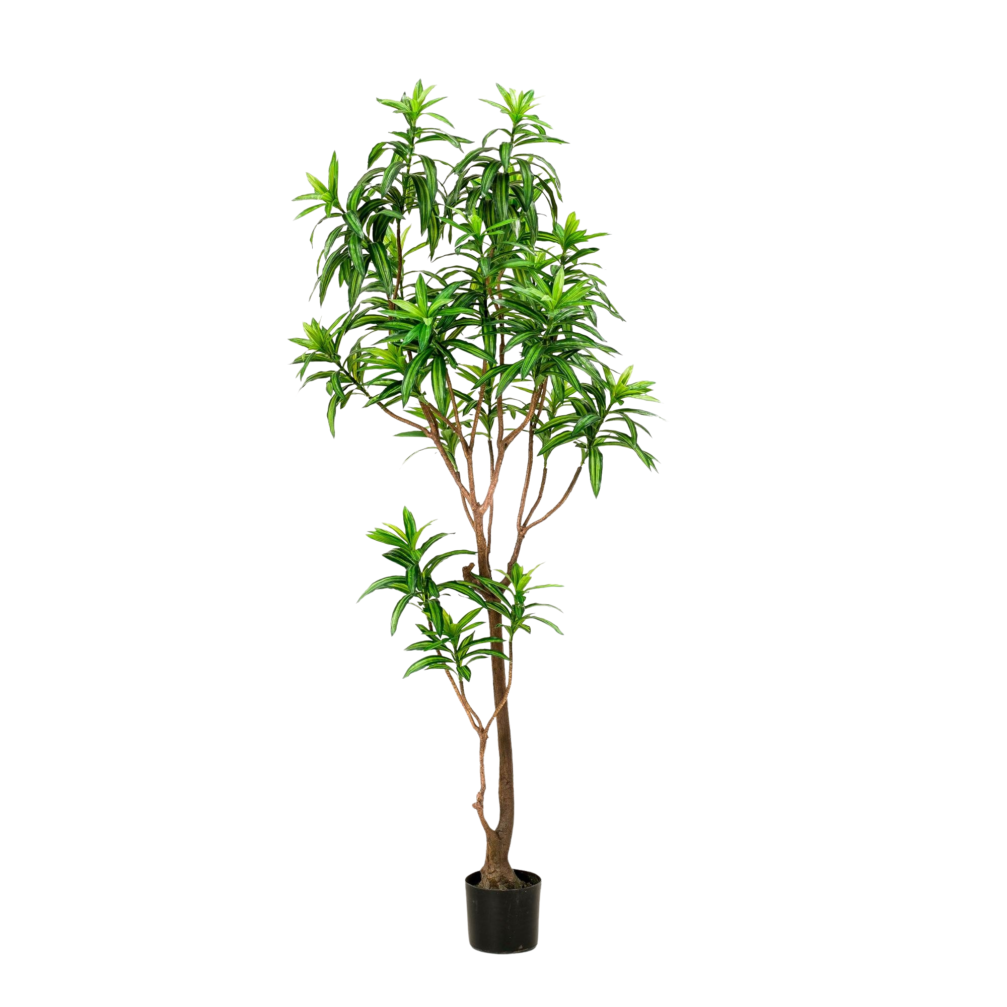 Kunstplant Drakenboom 190 cm