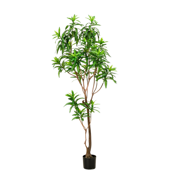 Kunstplant Drakenboom 190 cm