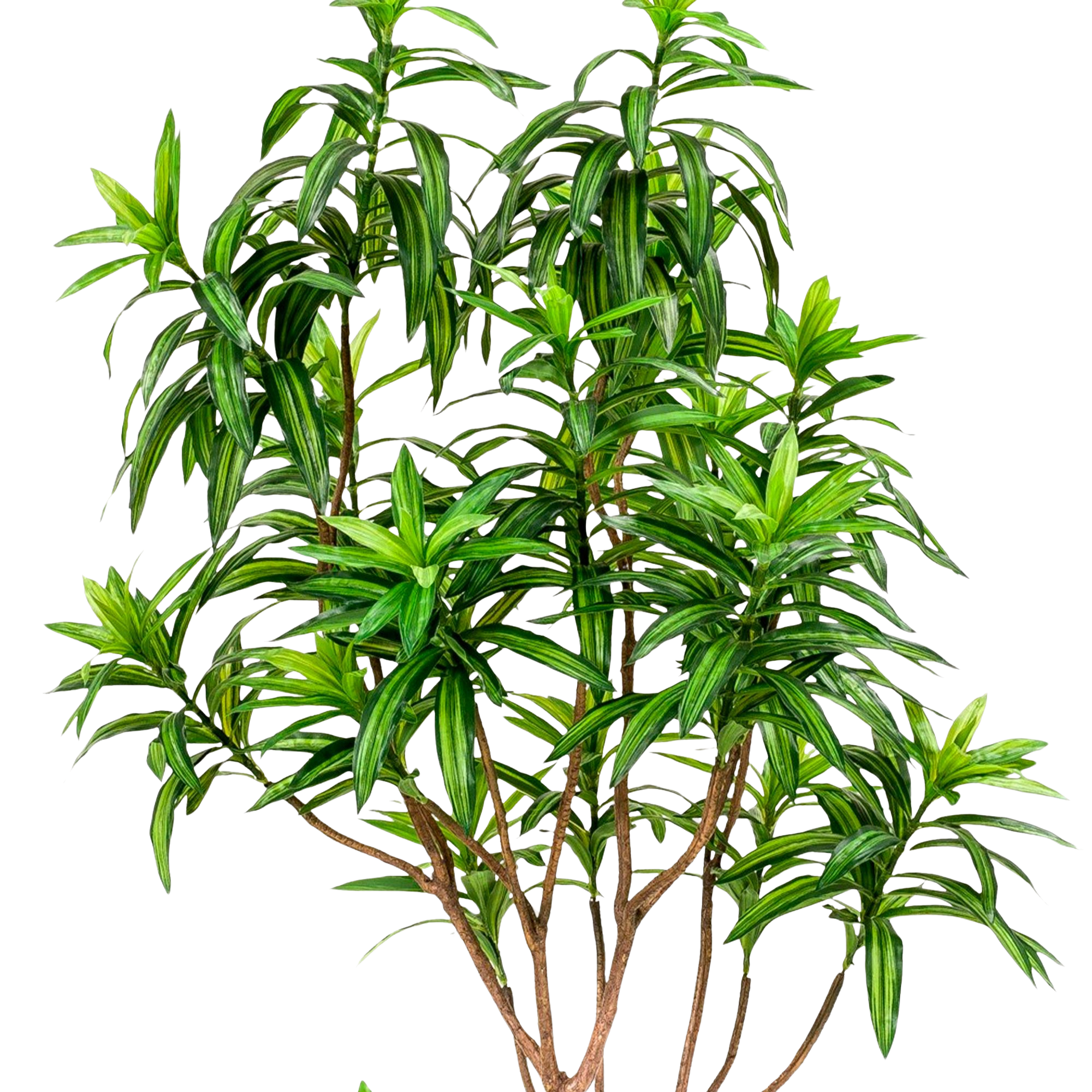 Kunstplant Drakenboom 190 cm