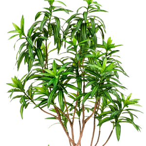 Kunstplant Drakenboom 190 cm