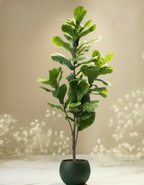 Kunstplant Ficus Lyrata 150cm