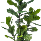 Kunstplant Ficus Lyrata 150cm