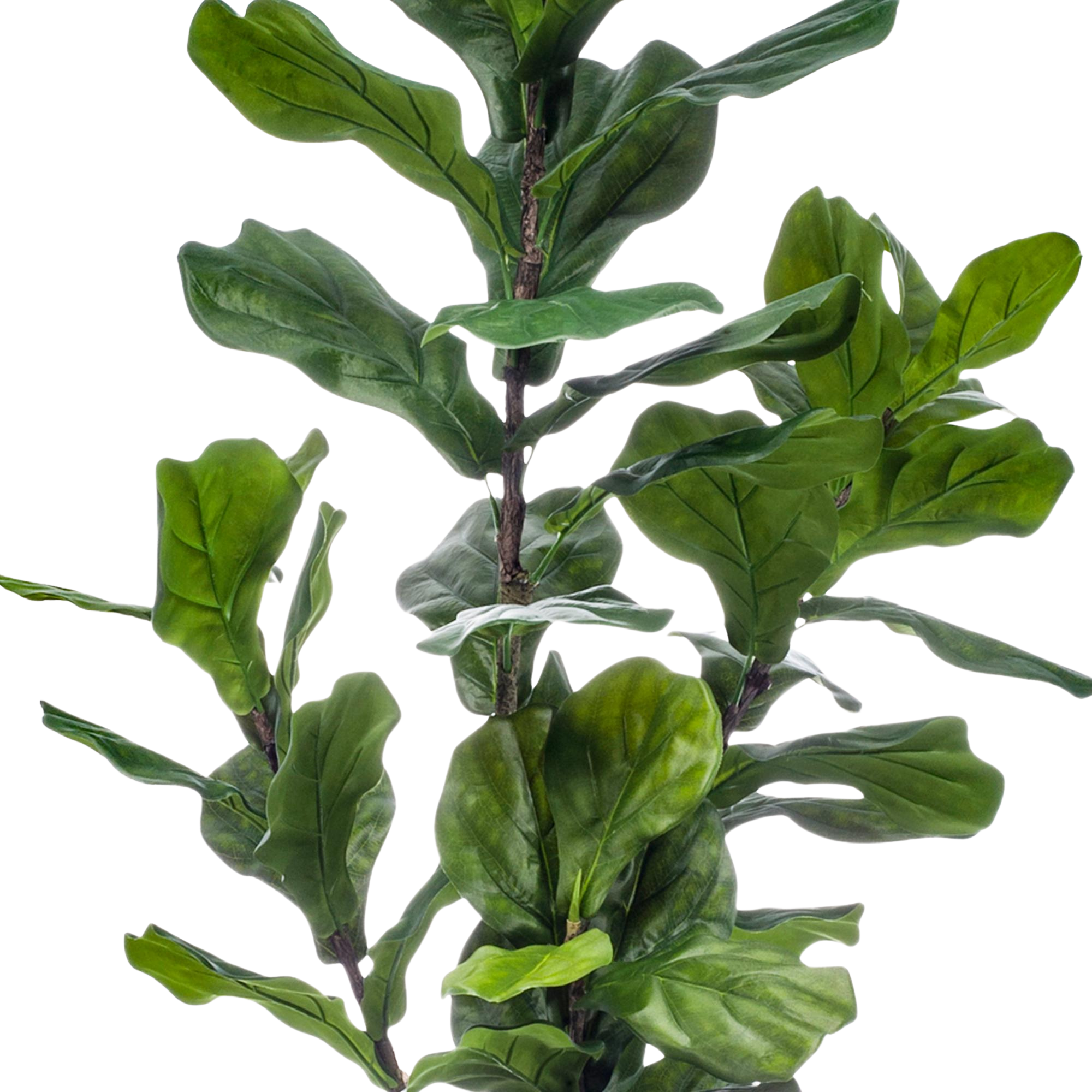 Kunstplant Ficus Lyrata 150cm
