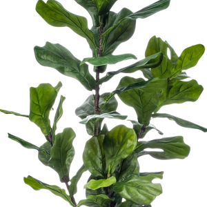 Kunstplant Ficus Lyrata 150cm
