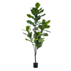 Kunstplant Ficus Lyrata 150cm