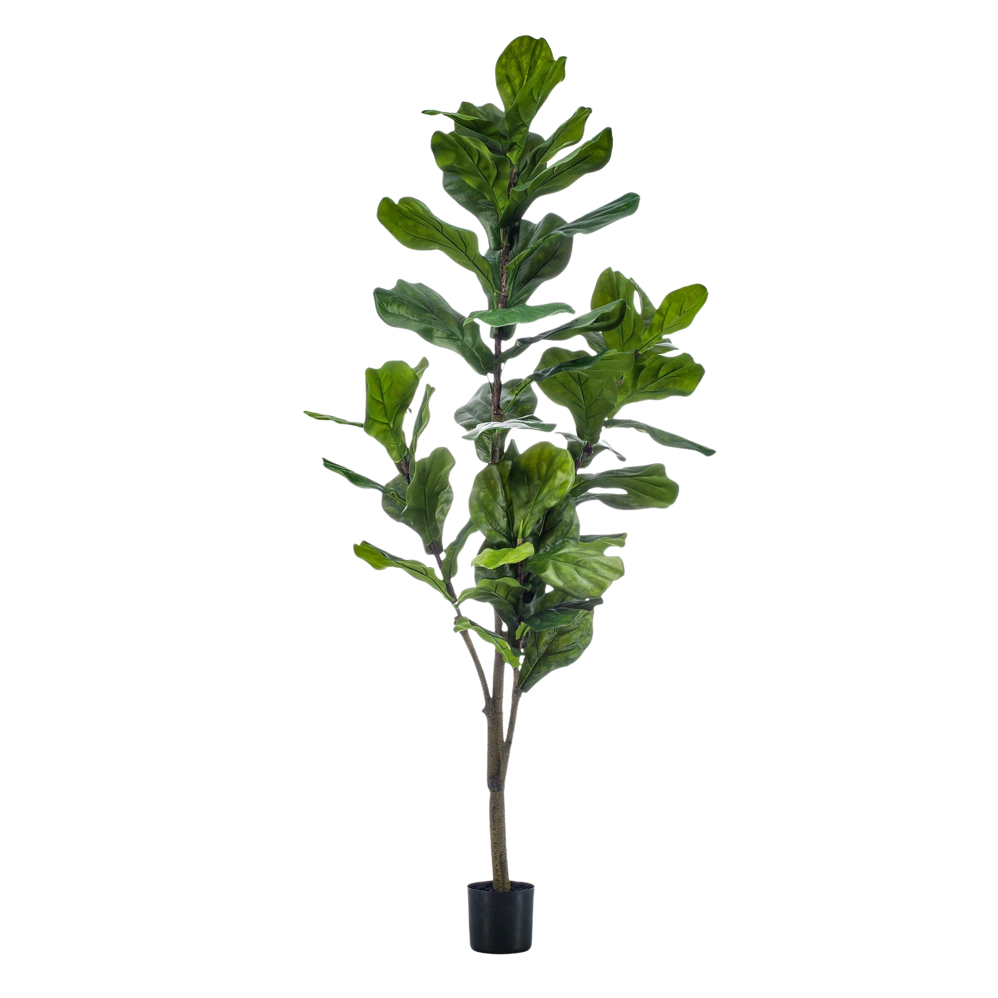 Kunstplant Ficus Lyrata 150cm