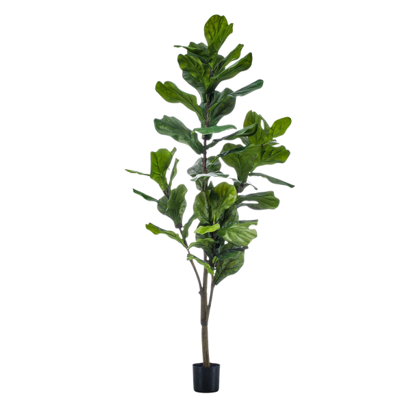 Kunstplant Ficus Lyrata 150cm