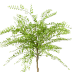 Kunstplant Honingboom 190cm