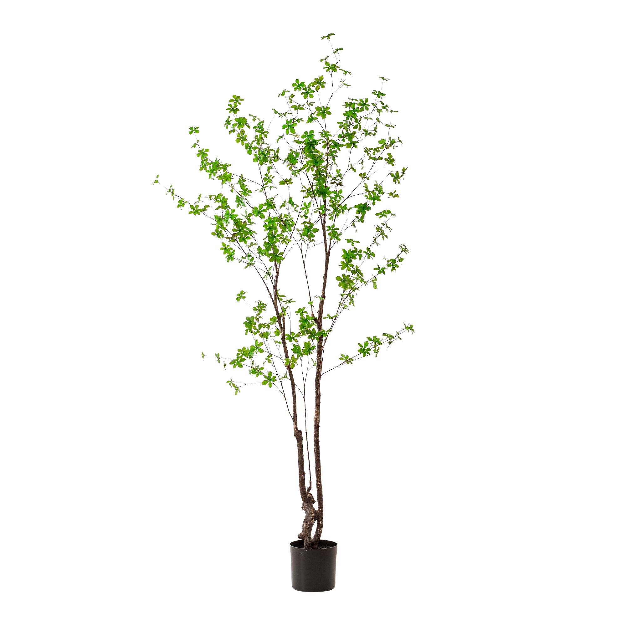 Kunstplant Oost Indische Kers 210cm