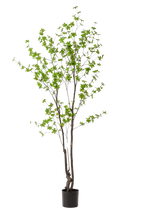 Kunstplant Oost Indische Kers 210cm