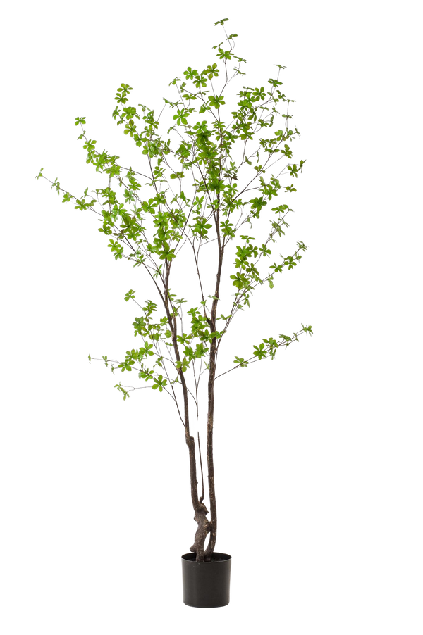 Kunstplant Oost Indische Kers 210cm