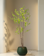 Kunstplant Oost Indische Kers 210cm