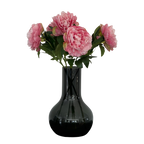 Vijf lichtroze pioenen