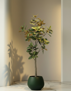 Kunstplant Magnolia Grandiflora 180 cm